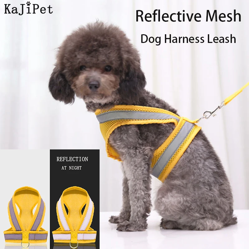 Reflective Mesh Dog Harness Small Medium Nylon Pet Dog Collar Leash Night Safety Collar Perro Pet Dog Harness Leash Set Collars
Reflective Mesh Dog Harness Small Medium Nylon Pet Dog Collar Leash Night Safety Collar Perro Pet Dog Harness Leash Set Collars