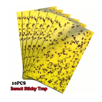 10PCS Yellow Sticky Glue paper Insect Trap Catcher Killer Fly Aphids Wasp Insect Killer Pest Control Garden Home Supplies 
10PCS Yellow Sticky Glue paper Insect Trap Catcher Killer Fly Aphids Wasp Insect Killer Pest Control Garden Home Supplies