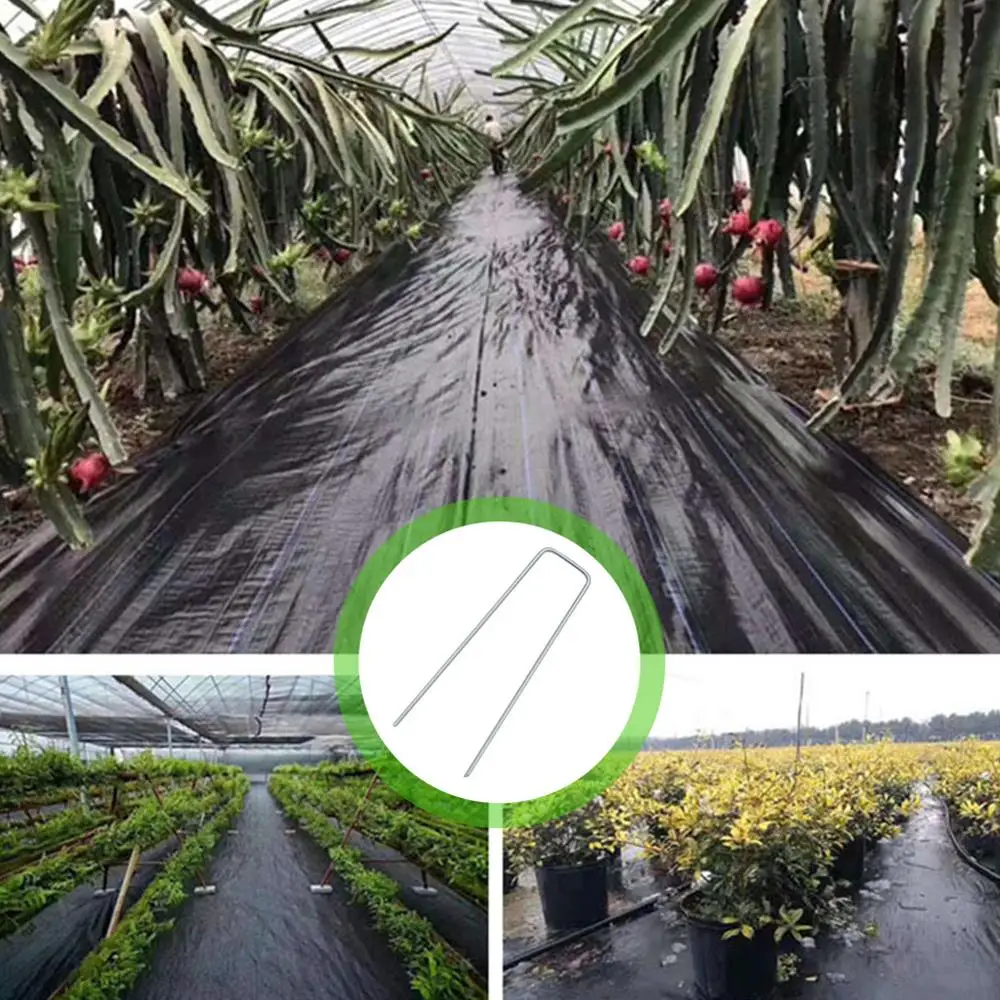50pcs Galvanized Steel Garden Pile U-nail Fixing Nail for Fixing Weed Fabric Landscape Fabric Mesh Floor
50pcs Galvanized Steel Garden Pile U-nail Fixing Nail for Fixing Weed Fabric Landscape Fabric Mesh Floor