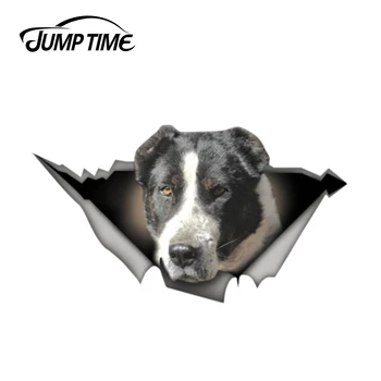 Jump Time 13cm x 7.3cm Black white Alabai Sticker Torn Metal Bumper Decal Funny Car Stickers Window Trunk Animal 3D Car Styling 
Jump Time 13cm x 7.3cm Black white Alabai Sticker Torn Metal Bumper Decal Funny Car Stickers Window Trunk Animal 3D Car Styling