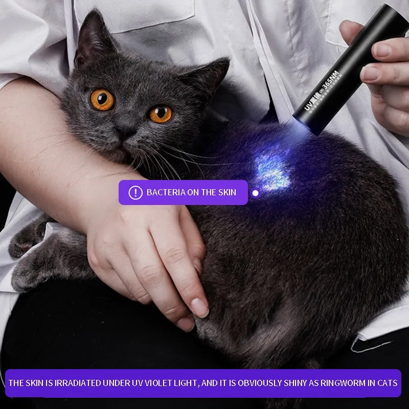 UV Identification Flashlight Pet Cat Ringworm Cat Fungus LED UV Test Lamp Flashlight Ultraviolet Fluorescent Agent Test Lamp
UV Identification Flashlight Pet Cat Ringworm Cat Fungus LED UV Test Lamp Flashlight Ultraviolet Fluorescent Agent Test Lamp