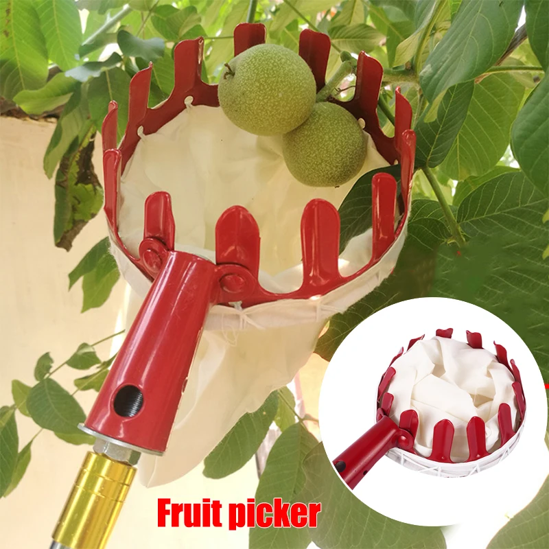 Fruit Picker Pruning Tools Red Metal Hand Tool Device Outside Portable Creative Fruit Catcher Collector Without Pole Farm Yard
Fruit Picker Pruning Tools Red Metal Hand Tool Device Outside Portable Creative Fruit Catcher Collector Without Pole Farm Yard