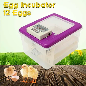 220V 30W Eggs Incubator Brooder Bird Quail Incubator Chick Hatchery Incubator Poultry Hatcher Automatic Farm Incubation Tools
220V 30W Eggs Incubator Brooder Bird Quail Incubator Chick Hatchery Incubator Poultry Hatcher Automatic Farm Incubation Tools
