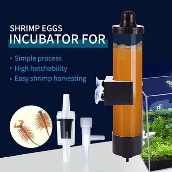 Aquarium Adjustable Brine Shrimp Hatcher Fairy shrimp Egg Artemia Alive Hatch Tool Out of Tank Egg Hatching Equipment
Aquarium Adjustable Brine Shrimp Hatcher Fairy shrimp Egg Artemia Alive Hatch Tool Out of Tank Egg Hatching Equipment