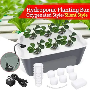 1 sets 220V Plant Site Hydroponic Systems 6 Holes nursery pots Soilless cultivation plant seedling Grow Kit
1 sets 220V Plant Site Hydroponic Systems 6 Holes nursery pots Soilless cultivation plant seedling Grow Kit