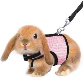 5 Colors Hamster Rabbit Harness And Leash Set Ferret Guinea Pig Rat Small Animal Pet Walk Harnesses Leades S/M/L/XL
5 Colors Hamster Rabbit Harness And Leash Set Ferret Guinea Pig Rat Small Animal Pet Walk Harnesses Leades S/M/L/XL
