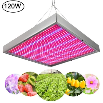 1365LEDS LED Grow Light Full Spectrum 120W Phytolamp For Plants Greenhouse Seeds Grow Tent Red Blue Light AC85-265V Indoor
1365LEDS LED Grow Light Full Spectrum 120W Phytolamp For Plants Greenhouse Seeds Grow Tent Red Blue Light AC85-265V Indoor