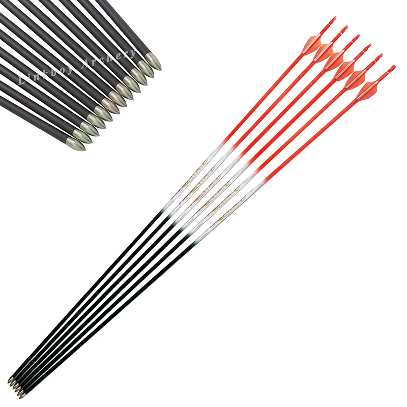 12pc-Pure-Carbon-Arrows-Spine-500-600-700-800-900-1000-ID-4-2mm-Plastic-Vanes