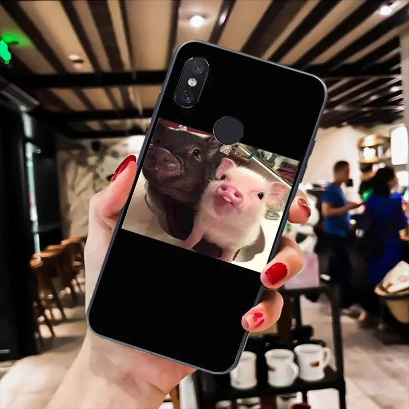 Cute Little Pink Pet Pig