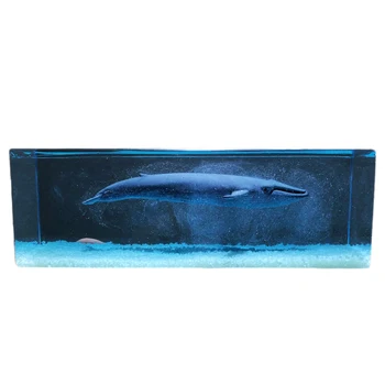 Crystal Epoxy Ocean Decoration Mini Epoxy Extremely Cold Blue Whale Model Crafts Filling Supplies Home Office Bar Decor
Crystal Epoxy Ocean Decoration Mini Epoxy Extremely Cold Blue Whale Model Crafts Filling Supplies Home Office Bar Decor