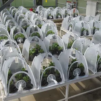 Multifunctional Plant Insulation Shed Garden Greenhouse Folding Mini Transparent Greenhouses PVC Warm Room PVC Warm Garden Set
Multifunctional Plant Insulation Shed Garden Greenhouse Folding Mini Transparent Greenhouses PVC Warm Room PVC Warm Garden Set