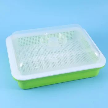 Seed Sprouter Tray BPA Free PP Soil-Free Wheatgrass Grower Seedling Tray Vegetable Seedling Tray
Seed Sprouter Tray BPA Free PP Soil-Free Wheatgrass Grower Seedling Tray Vegetable Seedling Tray