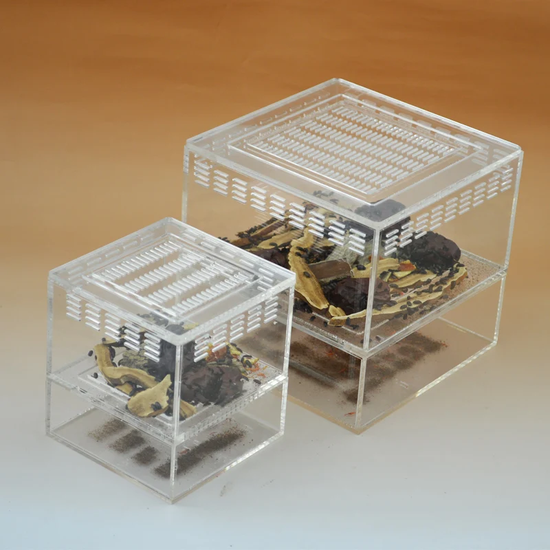 Mini Insect Feeding Box Acrylic Ant Breeding Box Transparent Activity Area Ant Farm 10*10*11cm
Mini Insect Feeding Box Acrylic Ant Breeding Box Transparent Activity Area Ant Farm 10*10*11cm