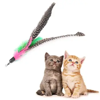 Pearl Feather Funny Cat Stick Replacement Head Pet Toy Funny Cat Homemade Stick Diy Supplies Cat H3K9
Pearl Feather Funny Cat Stick Replacement Head Pet Toy Funny Cat Homemade Stick Diy Supplies Cat H3K9