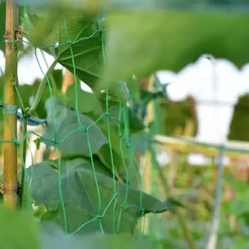 Gardening Plant Climbing Net Home Plastic Useful Planting Climbing Net Plant Net Orchard High Quality
Gardening Plant Climbing Net Home Plastic Useful Planting Climbing Net Plant Net Orchard High Quality