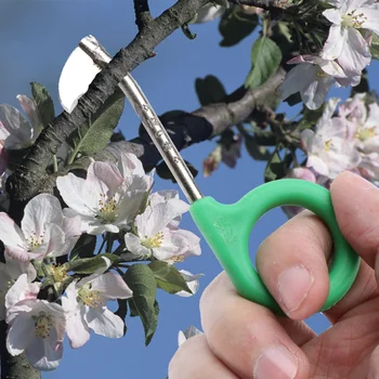 2PCS Fine-edged Ring Cutter Fruit Tree Ring Stripping Cutter Grape Litchi Jujube Peach Tree Ring Cutter Ring Trimming Shears for
2PCS Fine-edged Ring Cutter Fruit Tree Ring Stripping Cutter Grape Litchi Jujube Peach Tree Ring Cutter Ring Trimming Shears for
