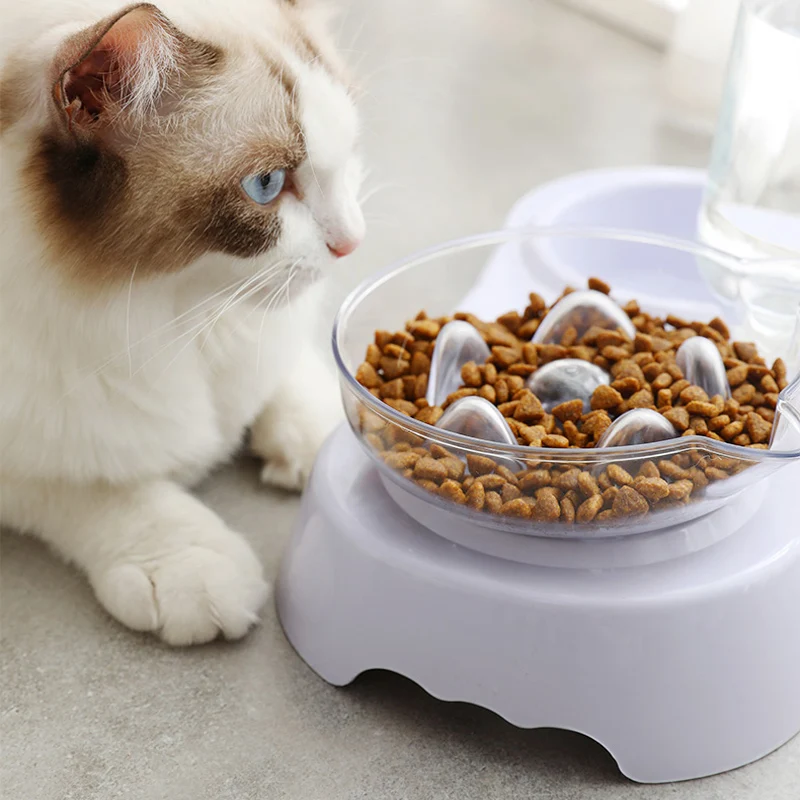 KIMPETS Cat Single Or Double Bowl Prevent Cervical Spine Plastic Food Eating Slow To Prevent Choking Slow Food Bowl
KIMPETS Cat Single Or Double Bowl Prevent Cervical Spine Plastic Food Eating Slow To Prevent Choking Slow Food Bowl
