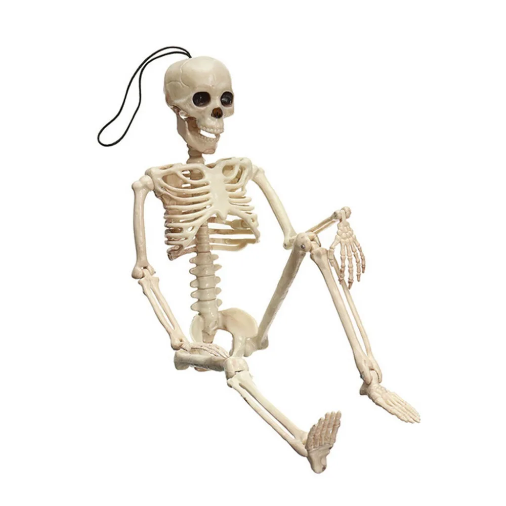 RRX90729013_0416428792418484782