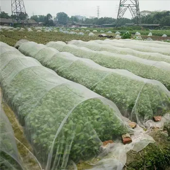 Greenhouse Protective Net Fruit Tree Vegetables Care Cover Plant Covers Nets Insect Net Garden Pest Control Anti-Bird Mesh Nets
Greenhouse Protective Net Fruit Tree Vegetables Care Cover Plant Covers Nets Insect Net Garden Pest Control Anti-Bird Mesh Nets