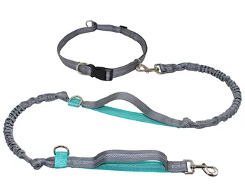 Pet Leash Reflective Retractable Hands Free Dog Leashes with Dual Handle Bungee Leash Jogging Running Leash for Large Dog Collar
Pet Leash Reflective Retractable Hands Free Dog Leashes with Dual Handle Bungee Leash Jogging Running Leash for Large Dog Collar