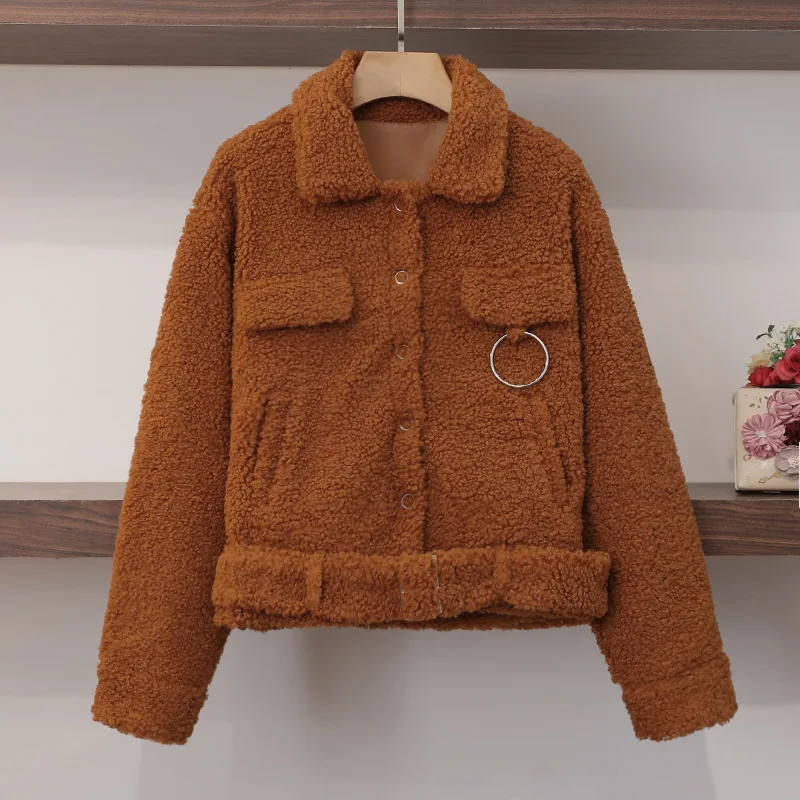 2019 Brown Teddy Mao Short Jacket for Fall/Winter Women Turn-down Collar Single Breasted Pockets Coat Women Jackets Women
2019 Brown Teddy Mao Short Jacket for Fall/Winter Women Turn-down Collar Single Breasted Pockets Coat Women Jackets Women