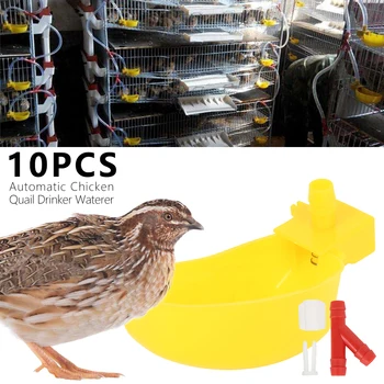 10 Pcs Automatic Quail Drinker Chicken Waterer Bowl Bird Drinker Hanging Cups Chicken Quail Bird Suspension Drinking Fountain
10 Pcs Automatic Quail Drinker Chicken Waterer Bowl Bird Drinker Hanging Cups Chicken Quail Bird Suspension Drinking Fountain