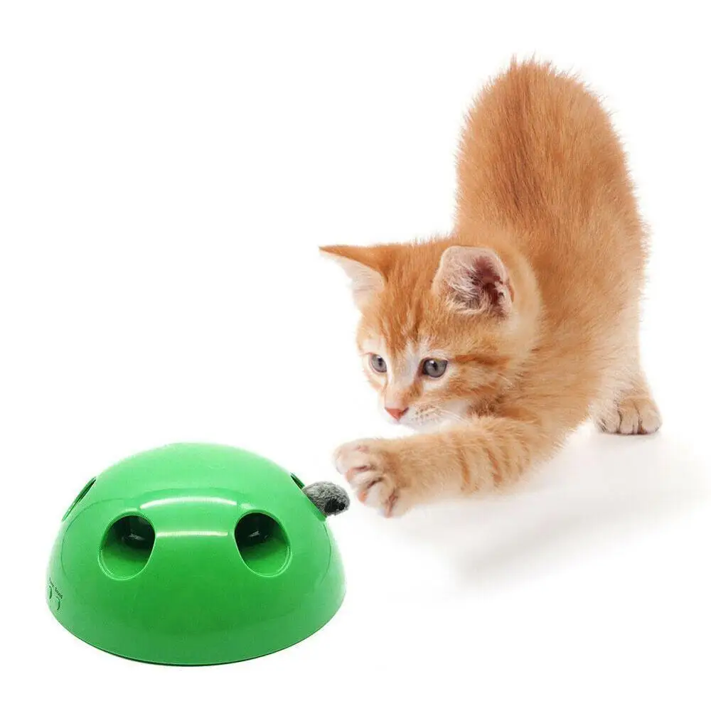 Interactive Toys Cat Simulation Mouse Mouse Disc Disk Game Multifunction Fun Activity Pet Toys For Cats Pet Supplies
Interactive Toys Cat Simulation Mouse Mouse Disc Disk Game Multifunction Fun Activity Pet Toys For Cats Pet Supplies