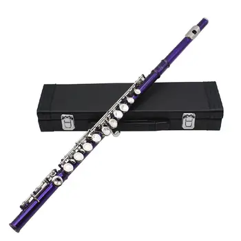 16-Hole Concert Flute Set C Key Woodwind Instrument with Gloves Mini Screwdriver Padded Case
16-Hole Concert Flute Set C Key Woodwind Instrument with Gloves Mini Screwdriver Padded Case
