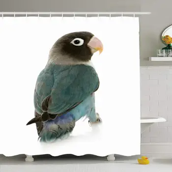 Shower Curtain Set with Hooks 60x72 Gazing Colorful Blue Masked Back Agapornis Personata Lovebird Front Animals Studio Wildlife
Shower Curtain Set with Hooks 60x72 Gazing Colorful Blue Masked Back Agapornis Personata Lovebird Front Animals Studio Wildlife