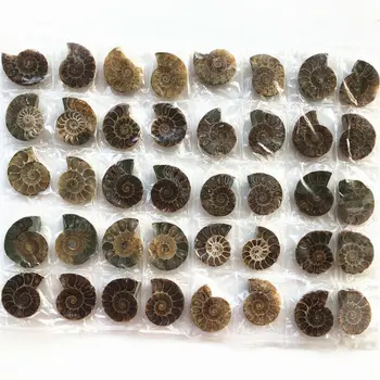 Drop Shipping New 1 Pair Of Split Ammonite Fossil Specimen Shell Healing Decoration Madagascar Natural Stones And Crystals
Drop Shipping New 1 Pair Of Split Ammonite Fossil Specimen Shell Healing Decoration Madagascar Natural Stones And Crystals