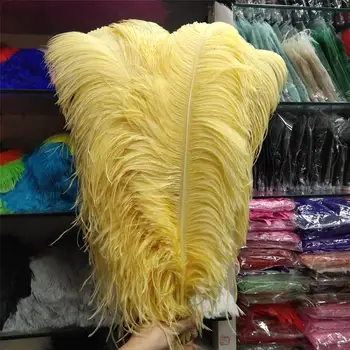 Hot 50 pcs High Quantity Pale Yellow 24-26inch/60-65cm "thick Stem" Male Ostrich Feathers DIY Jewelry Craft Making Decoration
Hot 50 pcs High Quantity Pale Yellow 24-26inch/60-65cm "thick Stem" Male Ostrich Feathers DIY Jewelry Craft Making Decoration