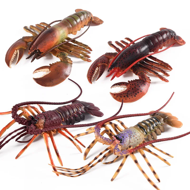 Men's Simulated Animal Real GIRL'S Marine Organism Seabed Gift Toy Model Product Category Plastic Crab
Men's Simulated Animal Real GIRL'S Marine Organism Seabed Gift Toy Model Product Category Plastic Crab