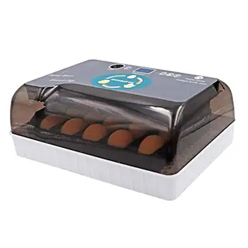 12 Eggs Incubator Bird Egg Incubator Semi-automatic Miniature Egg Incubator Pigeon EU/US/UK/AU 4 Plug Household Incubators
12 Eggs Incubator Bird Egg Incubator Semi-automatic Miniature Egg Incubator Pigeon EU/US/UK/AU 4 Plug Household Incubators