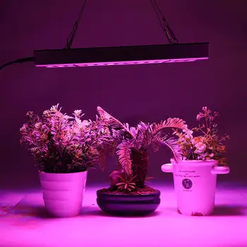 Plants Growth Light Red Blue Clones High Brightness Plant Lamp Led Grow Light 75LED 25W Full Spectrum Panel Micro Greens
Plants Growth Light Red Blue Clones High Brightness Plant Lamp Led Grow Light 75LED 25W Full Spectrum Panel Micro Greens