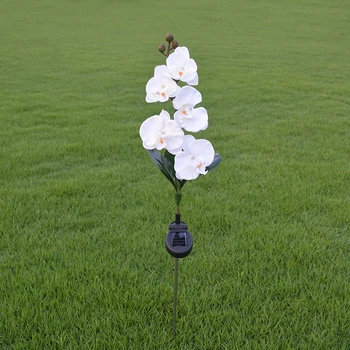 5 Head Led Gardens Outdoor Lights Decorative Solar Powered Butterfly Orchid Lawn Lamp Festival Lantern Simulation Landscape
5 Head Led Gardens Outdoor Lights Decorative Solar Powered Butterfly Orchid Lawn Lamp Festival Lantern Simulation Landscape
