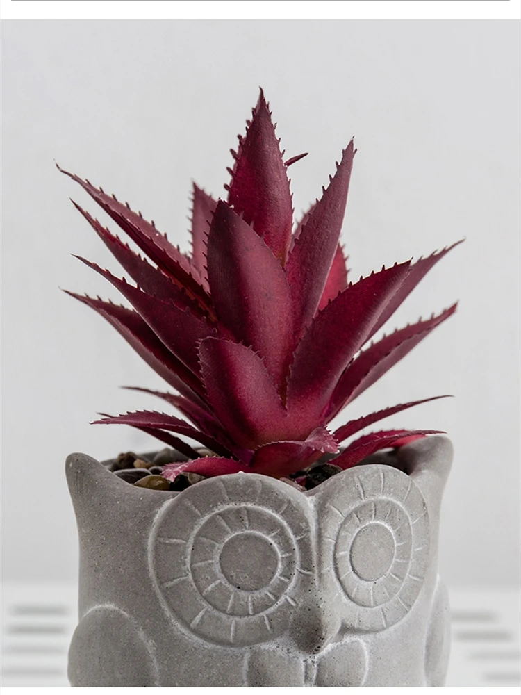 B-LIFE Artificial Plant Succulents in Grey Pots & Floating Wall Shelf for Home Decor Mini Succulant Plants & Decorative Shelf
B-LIFE Artificial Plant Succulents in Grey Pots & Floating Wall Shelf for Home Decor Mini Succulant Plants & Decorative Shelf