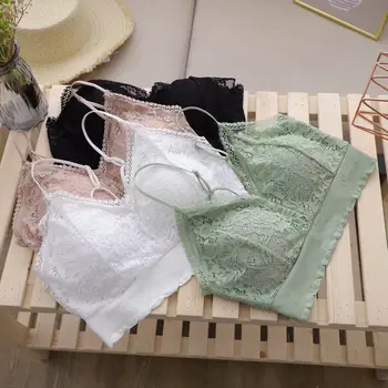 Hot Selling Lace Beauty Back Wrap-around Anti-Exposure Base WOMEN'S Camisole Non-Steel Ring Versatile Sports Tube Top 
Hot Selling Lace Beauty Back Wrap-around Anti-Exposure Base WOMEN'S Camisole Non-Steel Ring Versatile Sports Tube Top