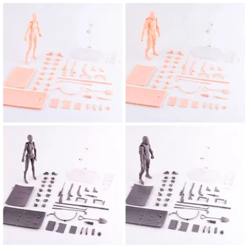 Figmas Deluxe Edition Body Kun Body Chan BJD Joints Movable Action Figure PVC Collectible Model Toys
Figmas Deluxe Edition Body Kun Body Chan BJD Joints Movable Action Figure PVC Collectible Model Toys