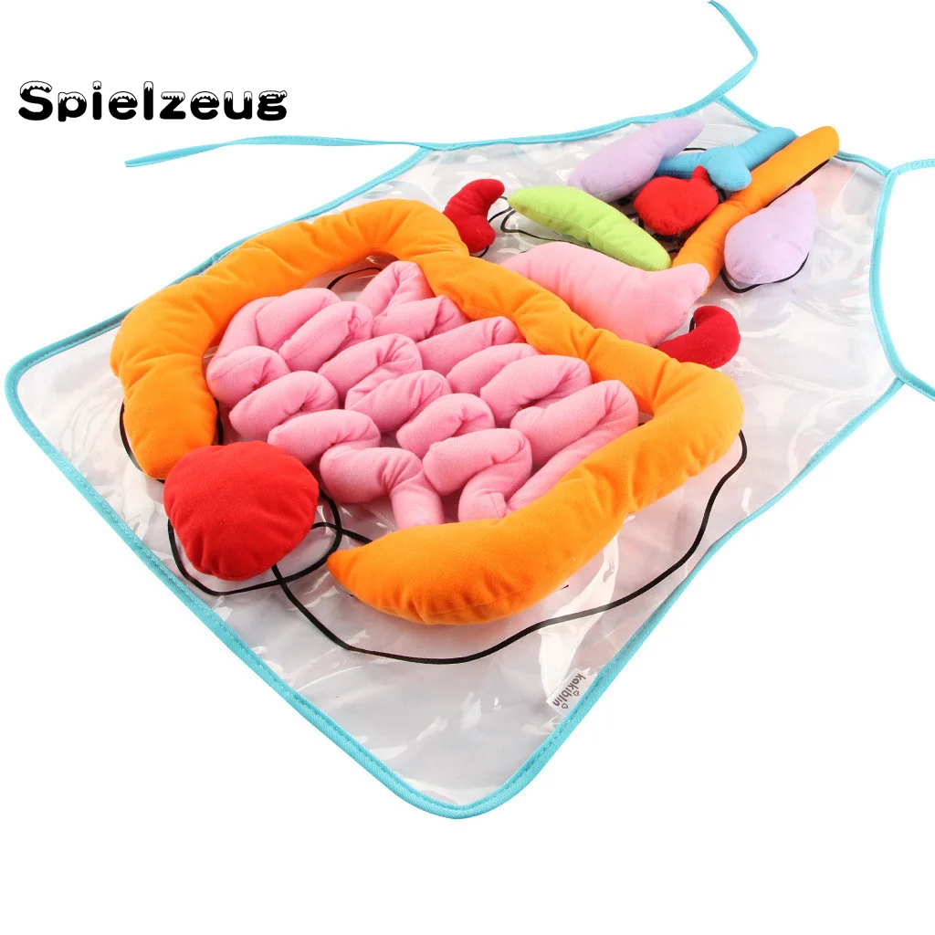Educational Insights Toys For Children Anatomy Apron Human Body Organs Aware 3D Organ Apron Anatomy Apron Human Body#g4 
Educational Insights Toys For Children Anatomy Apron Human Body Organs Aware 3D Organ Apron Anatomy Apron Human Body#g4