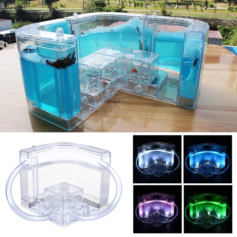 Colorful Ants House Feeding Area Funny Luminous Decoration 10.8CM Ant Farm Insect Transparent Art Villa Kids Gift
Colorful Ants House Feeding Area Funny Luminous Decoration 10.8CM Ant Farm Insect Transparent Art Villa Kids Gift