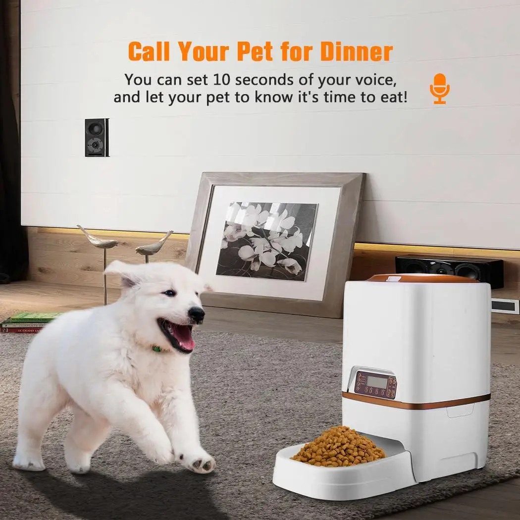 6L Automatic Pet Feeder Food Large Capacity Dispenser for Cat Dog Timer Programmable For Medium Small Dog Cat
6L Automatic Pet Feeder Food Large Capacity Dispenser for Cat Dog Timer Programmable For Medium Small Dog Cat