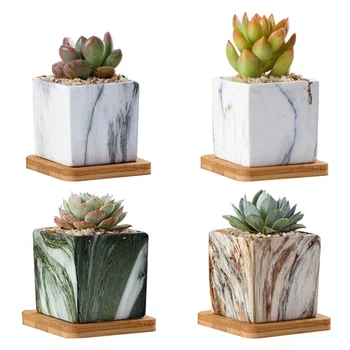 1 Set of 4pcs Succulent Pot Ceramic Simulation Stone Grain Stylish Succulent Container for Garden Windowsill
1 Set of 4pcs Succulent Pot Ceramic Simulation Stone Grain Stylish Succulent Container for Garden Windowsill
