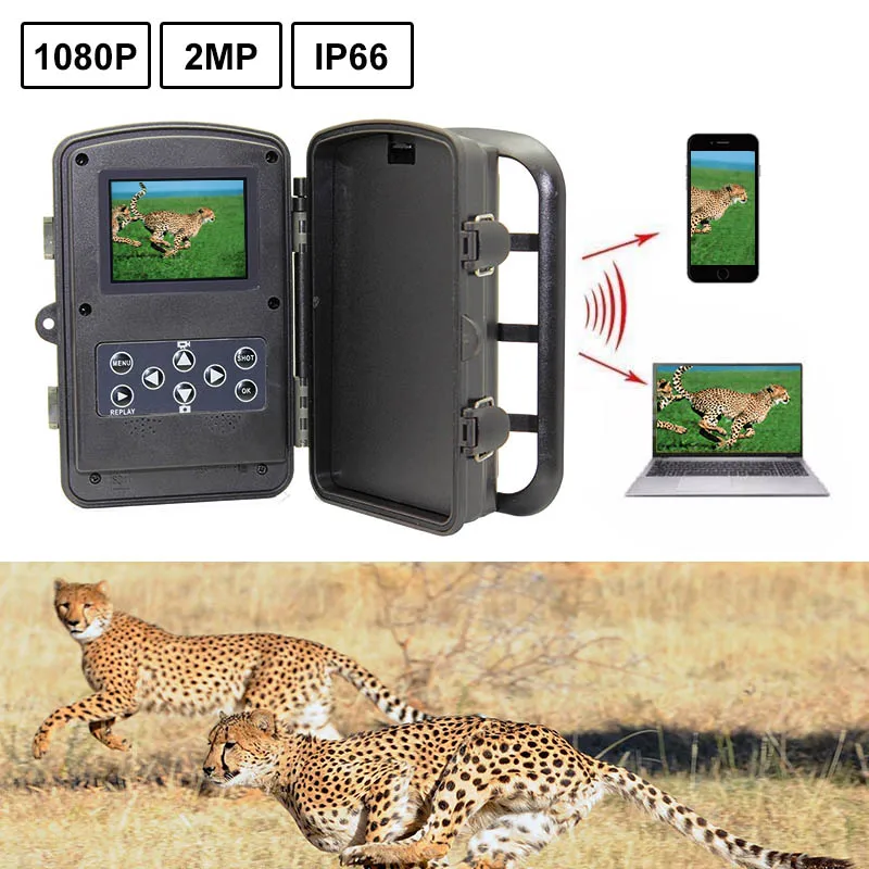 RD1000SA Hunting Camera 1080P 0.7s Trigger Time Covert Trail Camera Night Infrared Detection Camera Trail Real Time Cam
RD1000SA Hunting Camera 1080P 0.7s Trigger Time Covert Trail Camera Night Infrared Detection Camera Trail Real Time Cam
