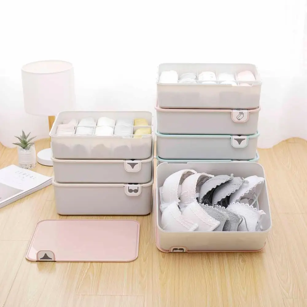 1Pcs PP Underwear Storage Box With Identification Bra Socks Underpants Compartment Case Closet Underwear Organizer
1Pcs PP Underwear Storage Box With Identification Bra Socks Underpants Compartment Case Closet Underwear Organizer