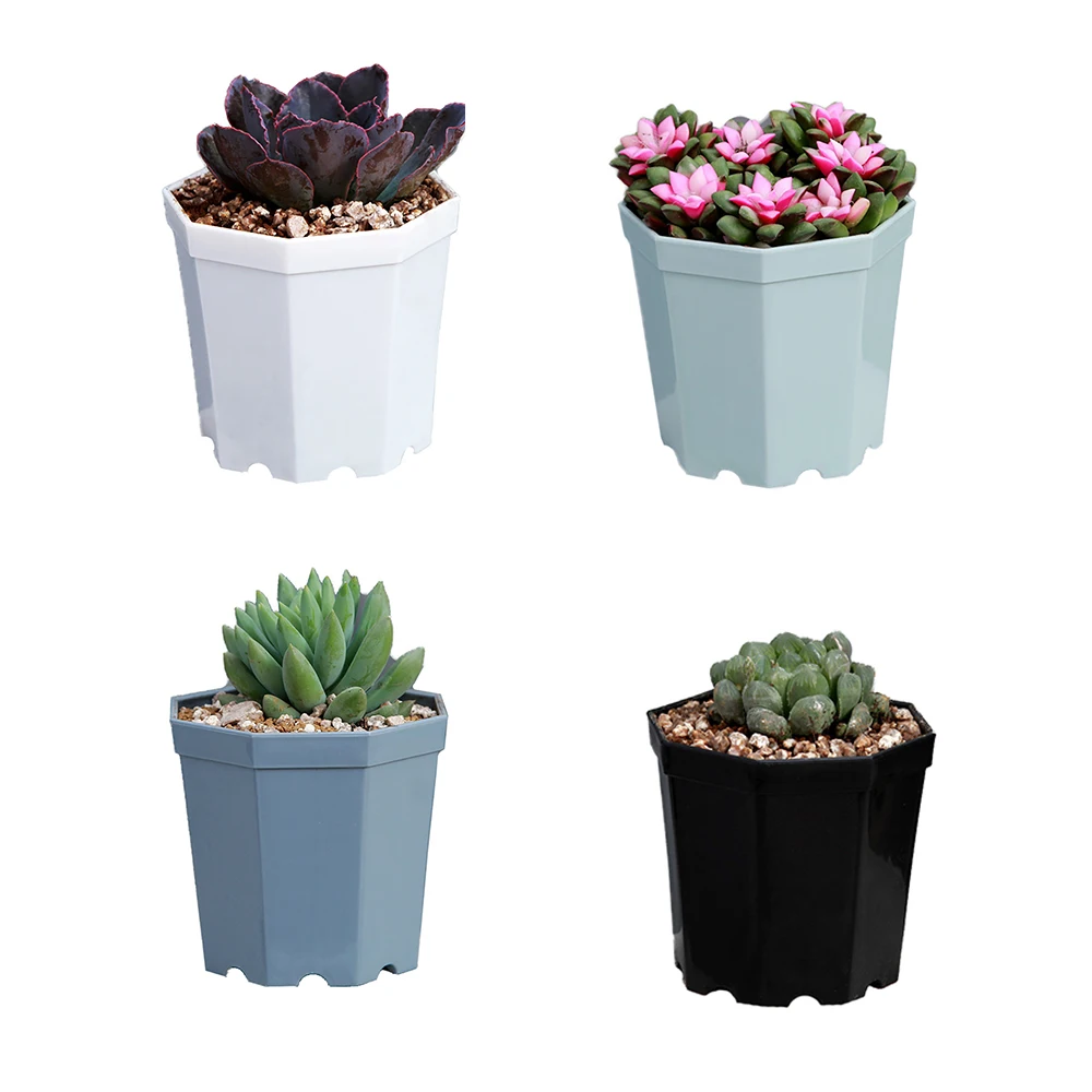 4 pcs Thicken Colorful Octagonal Plastic Plants Flower Pots Home Garden Office Succulent Plant Pot Greenhouse Nursery Trays
4 pcs Thicken Colorful Octagonal Plastic Plants Flower Pots Home Garden Office Succulent Plant Pot Greenhouse Nursery Trays