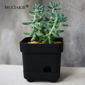 MUCIAKIE 2PCS Square Succulent Pot Plastic Lazy Man Pot Black Green Water Storage Basin
MUCIAKIE 2PCS Square Succulent Pot Plastic Lazy Man Pot Black Green Water Storage Basin