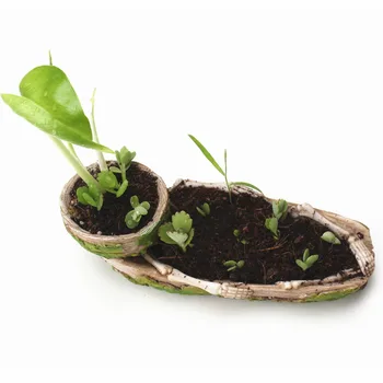Indoor Resin Bone Shape Balcony Wear Resistance Flower Pot Home Garden Hand Grinding Bedroom Gifts Bowl Planter Living Room
Indoor Resin Bone Shape Balcony Wear Resistance Flower Pot Home Garden Hand Grinding Bedroom Gifts Bowl Planter Living Room