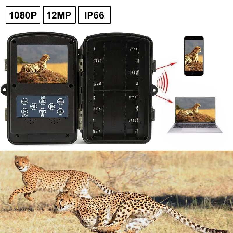 TC03 Hunting Trail Camera 0.5s Camouflage Covert Trail Cameras Infrared Detection 12MP 1080P Shot Waterproof Hunter Camera
TC03 Hunting Trail Camera 0.5s Camouflage Covert Trail Cameras Infrared Detection 12MP 1080P Shot Waterproof Hunter Camera