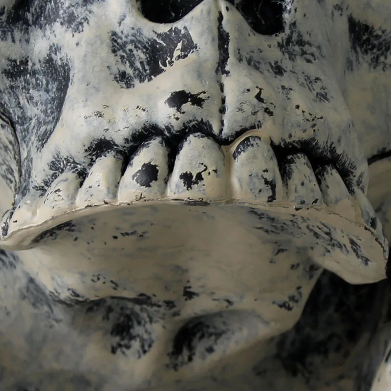 Joy-enlife Fake Skeleton Halloween Trick Plastic Lifelike Skull Bones Arm Figurine Party Decoration Haunted Home 19 Joy-enlife Fake Skeleton Halloween Trick Plastic Lifelike Skull Bones Arm Figurine Party Decoration Haunted Home -Cosplayware Store H2a2d1ec85ecb4990997b2dc6120adfba9.jpg