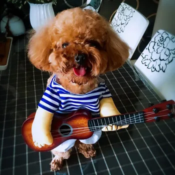 Halloween Puppy Clothes Carrying guitar cute Dog Clothing For Small Dogs Cats Halloween Party Cosplay Costume Decor
Halloween Puppy Clothes Carrying guitar cute Dog Clothing For Small Dogs Cats Halloween Party Cosplay Costume Decor